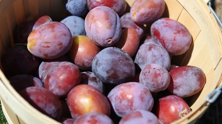 These 3 fruits will help you get rid of that bloated feeling