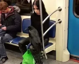Nigdy nie uwierzysz w te 41 dziwacznych ludzi zauważonych w transporcie publicznym