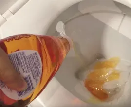Voici une excellente raison de mettre du liquide vaisselle dans vos toilettes !