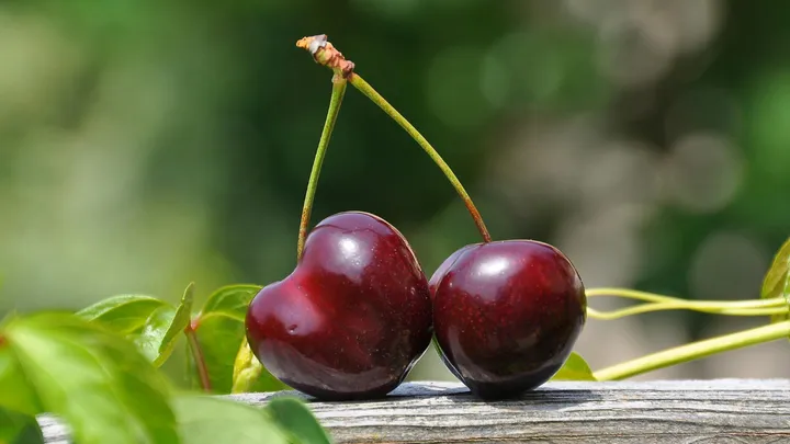 Diepvriesfruit of vers fruit: wat is gezonder?