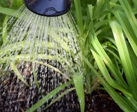 9 tips om water te besparen in je huis en in de tuin