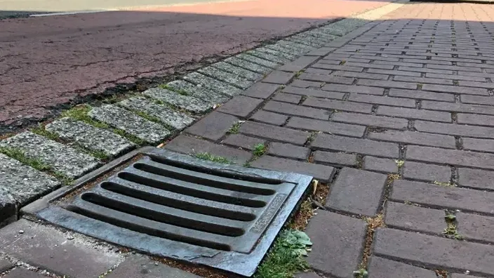 Cada día, un perro se asoma a un desagüe pluvial: ¡descubrimiento espeluznante al abrirlo!