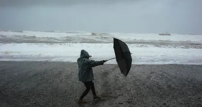 Code geel: zware windstoten zorgen voor veel stormschade