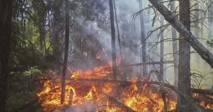 Door droogte groot risico op natuurbranden, brandweer staat op scherp