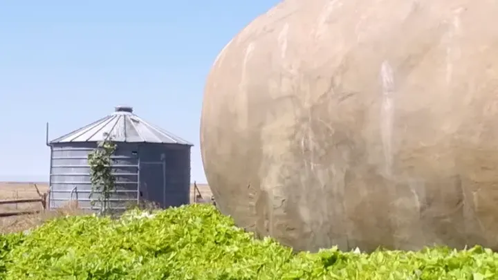 You Won't Believe What's Inside This Giant Potato - It's Not What You Think!