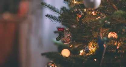 Niezen, snotteren en rode ogen? Deze tekenen kunnen wijzen op een kerstboomallergie