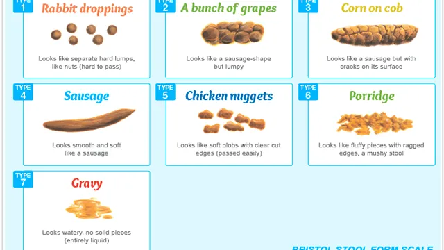 Dit zegt je ontlasting over je gezondheid! Welk type ontlasting heb jij?