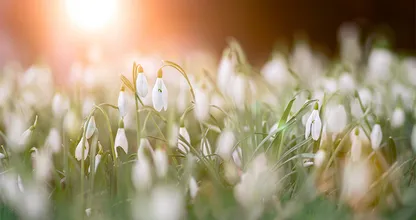 Hallo lente: temperaturen na weekend richting 20 graden