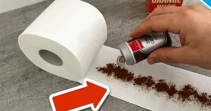 What Happens When You Add Cinnamon to Toilet Paper? Why Some People Are Doing It