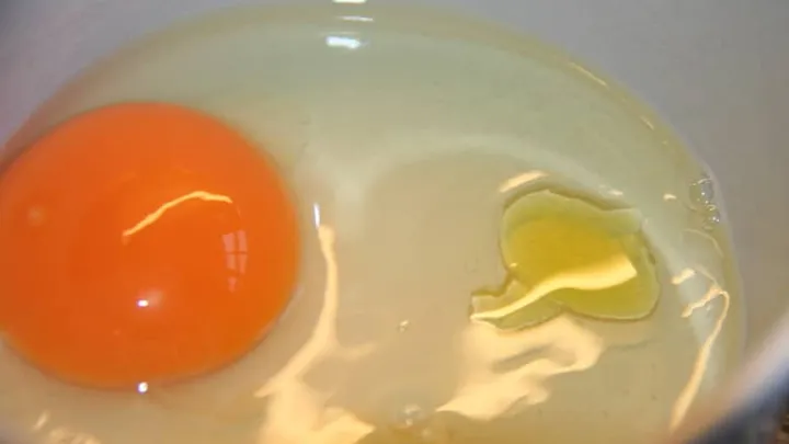 Last van mee-eters? Smeer een ei op je gezicht! Check hier hoe het moet.