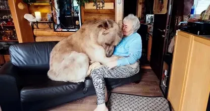 Diese ältere Dame lebt zusammen mit einem Braunbäre