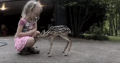 VIDEO: dit babyhertje loopt naar een meisje toe... Wat er gebeurt als ze haar hand uitsteekt is net een sprookje!
