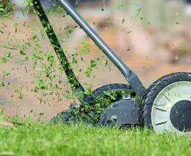 Aha: dít moet je dus doen om je gras dit jaar stralend groen te houden