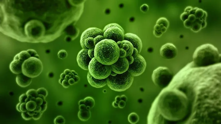 Gadver! Dit zijn de meest vieze plekken vol met bacteriën en jij gebruikt het nu!