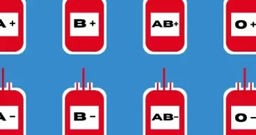 Ihre Blutgruppe kann überraschende Einsichten über Sie offenbaren. Was sagt Ihre Blutgruppe aus?