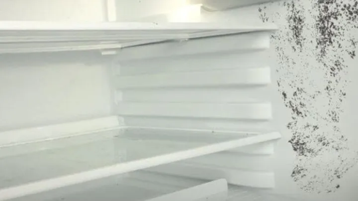 Got mould in your fridge? With this quick trick it'll be gone in no time at all