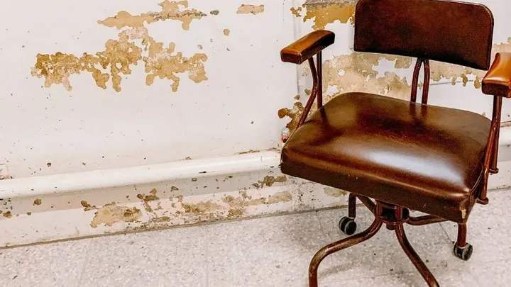 Encontraron estas 21 cosas especiales en un canal drenado en París