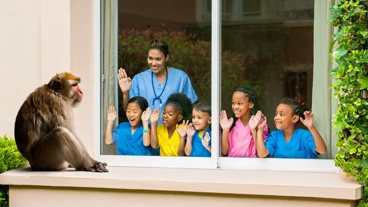 Monkey Visits Children’s Hospital Every Day – The Reason Why Will Melt Your Heart