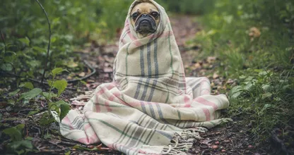 Hier finden Sie heraus, warum Kälte eigentlich gut für Sie sein kann