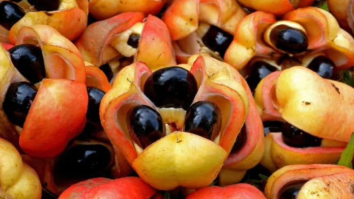 20 ungewöhnliche Früchte aus der ganzen Welt