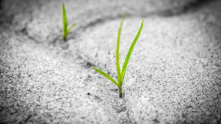 Deze 21 tuinhacks besparen je veel tijd en geld