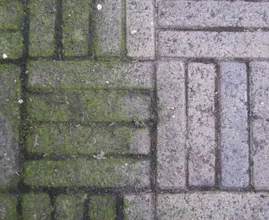 Usuwanie chwastów? Z tym trikiem nie zajmie to już długo! Super praktyczne!