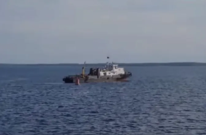 Fischerboot rettet die Jungen der Bärenmutter