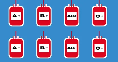Your Blood Type Can Reveal Surprising Insights About You. What Does Your Blood Type Say?