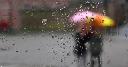 Hij is weer voorbij, die mooie zomer... Over twee dagen is het volop herfst!