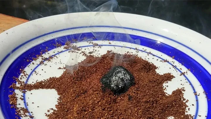 Mosquitos inside your house? Get rid of them with this trick!