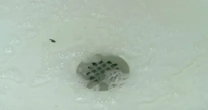 Got a clogged shower drain? This natural solution will unclog it for you in a jiffy!