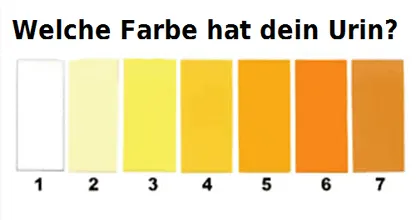 DAS sagt die Farbe deines Urins über deine Gesundheit aus! Das solltest du wissen!