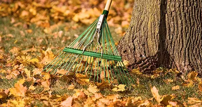 Niet vergeten: met deze zes handige tuintips maak je je tuin snel winterklaar!