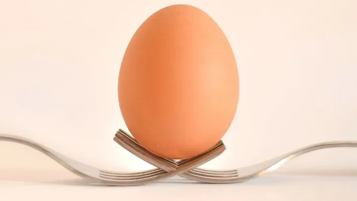 Waarom het internet in de ban is van deze foto van een ei