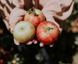 Zo blijven appels het langst knapperig en vers