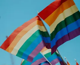 'Antihomoverklaring' nog altijd populair bij streng Christelijke scholen