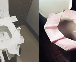 Once you've read this, you'll NEVER put toilet paper on the toilet seat again! We had no idea!