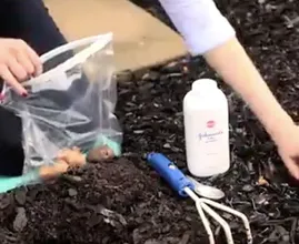 Here's why you should use baby powder in your garden! Genius!