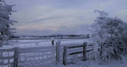 Een witte kerst? Droom maar fijn door, want het gaat niet gebeuren!