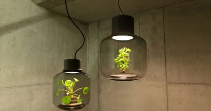 Wist je dat je ook echte planten in huis kunt hebben als je geen enkel zonlicht hebt? Dit is echt super leuk!