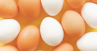 Wat is het verschil tussen witte en bruine eieren?