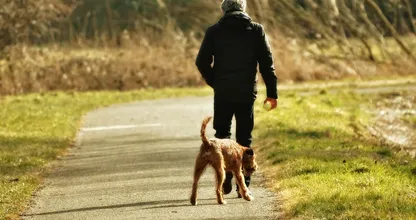 Haal de zomerjas maar tevoorschijn: dit weekend heerlijk lenteweer