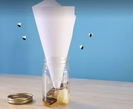 Here are 5 easy ways to catch fruit flies in your home