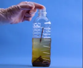 Stop roestige spijkers in een plastic fles en zie wat je er mee kunt doen!