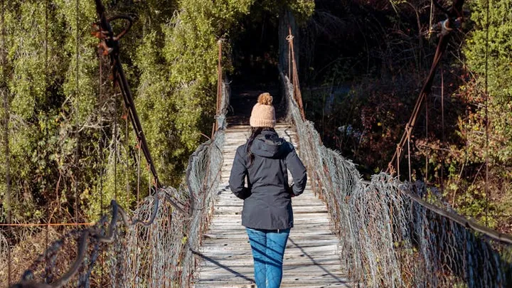 Woman Follows Bear into the Forest After It Unexpectedly Approaches Her at Bus Stop