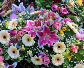 THIS is what your favourite flower says about your personality!