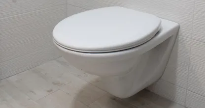 Aha: om deze reden hebben sommige toiletbrillen een U-vorm