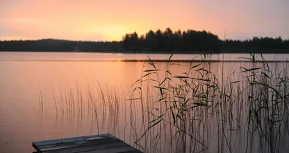 Déze parasiet komt steeds vaker voor in natuurwater in Zuid-Europa