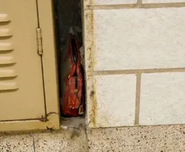 Bijzonder: oude schooltas uit 1957 blijkt unieke inhoud uit het verleden te hebben