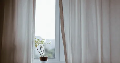 Warum deine Gardinen der Grund dafür sein könnten dass du die Grippe hast.